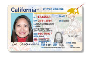CA Real ID sample 