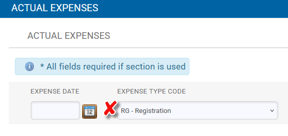Actual expenses tab with RG - Registration marked out with an X. 